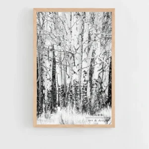 Elegant Simplicity: Black and White Aspen Tree Photo Print for Home Décor