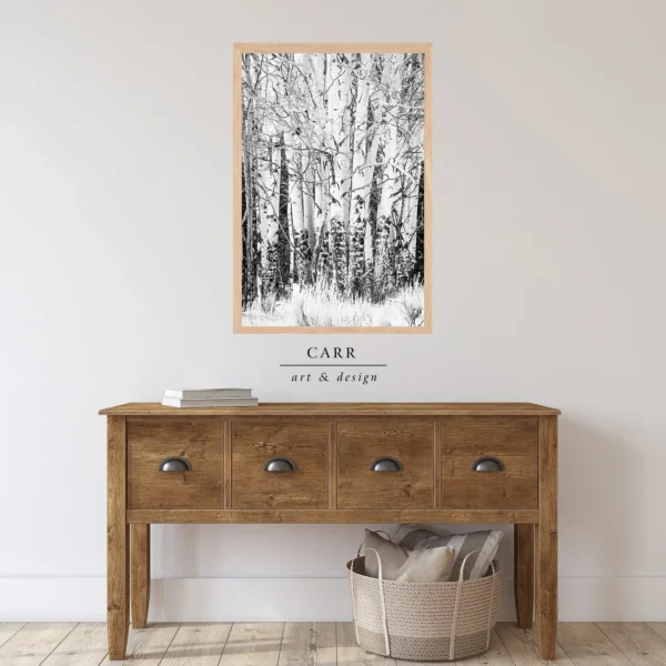 Elegant Simplicity: Black and White Aspen Tree Photo Print for Home Décor