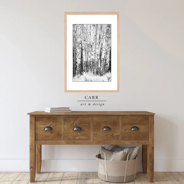 Elegant Simplicity: Black and White Aspen Tree Photo Print for Home Décor