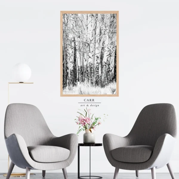 Elegant Simplicity: Black and White Aspen Tree Photo Print for Home Décor