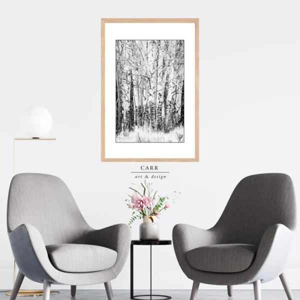 Elegant Simplicity: Black and White Aspen Tree Photo Print for Home Décor