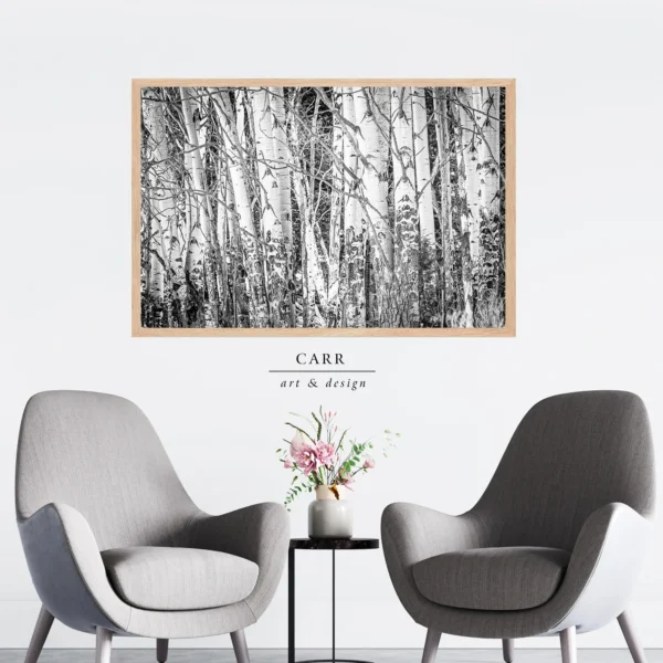 Nature's Contrast: Striking Black and White Print of Colorado Aspen Trees